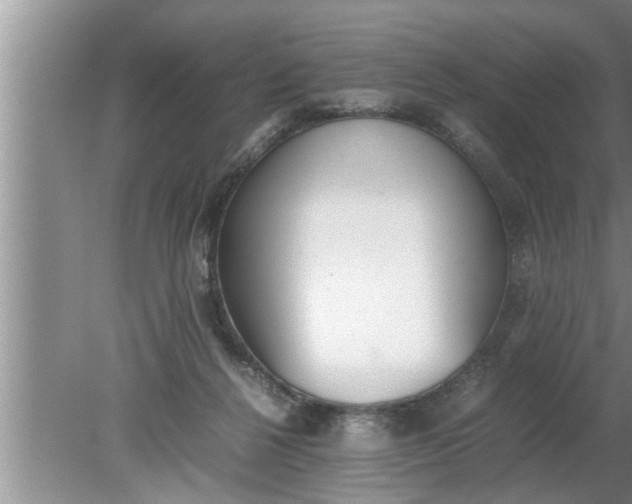 X0000080140264200612221931