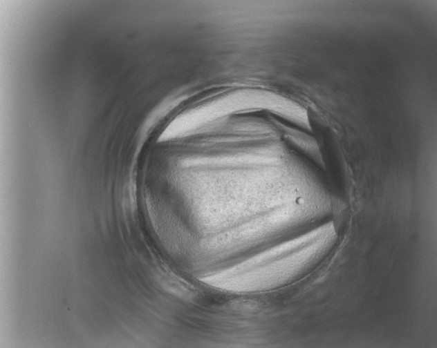 X0000080140294200612221930