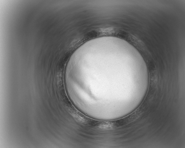 X0000080140369200612221929