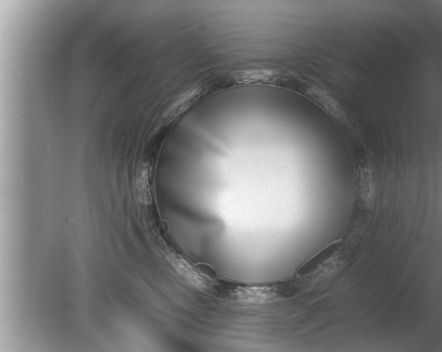 X0000080140378200612221929