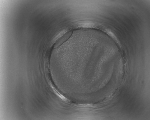 X0000080140397200612221928