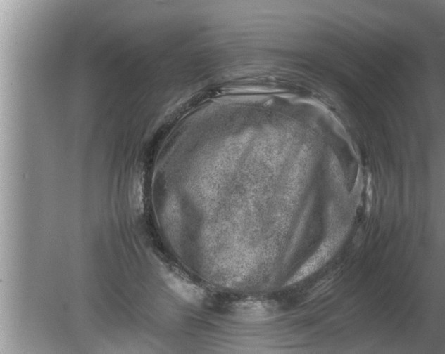 X0000080140404200612221928