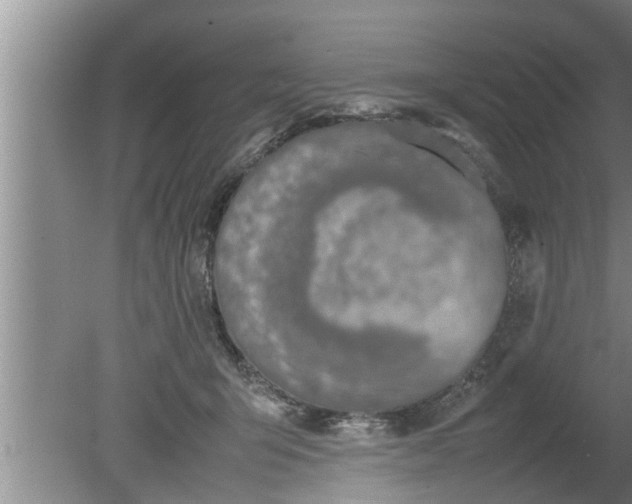 X0000080140415200612221928