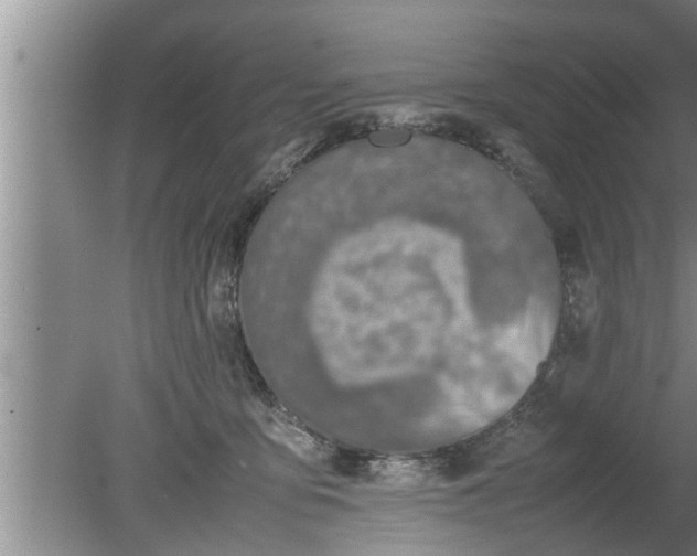 X0000080140419200612221928