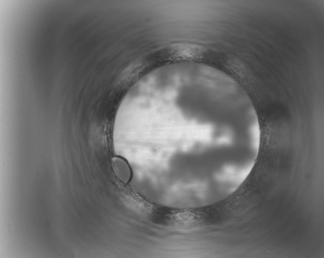 X0000080140423200612221928