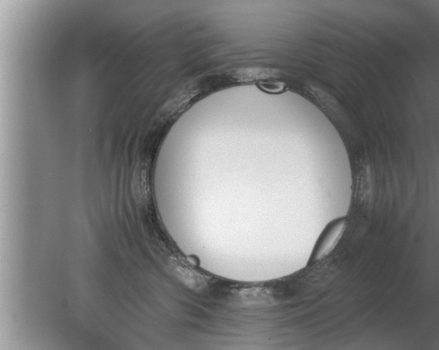 X0000080140426200612221928