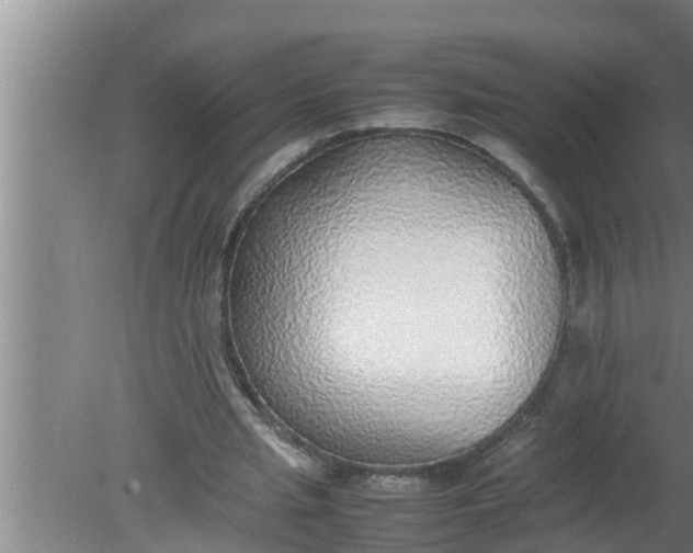 X0000080140437200612221927