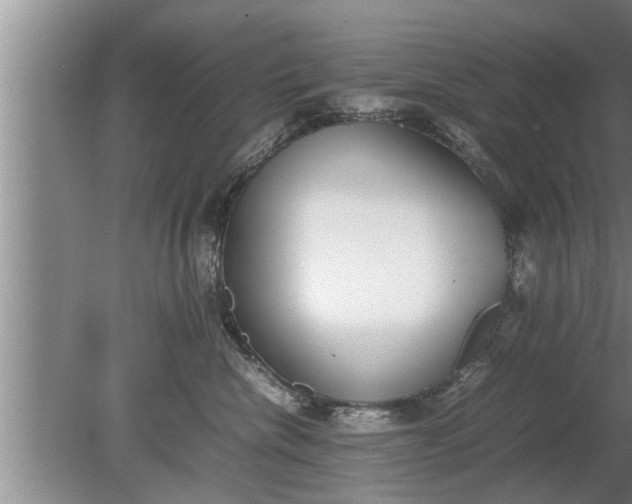 X0000080140476200612221928