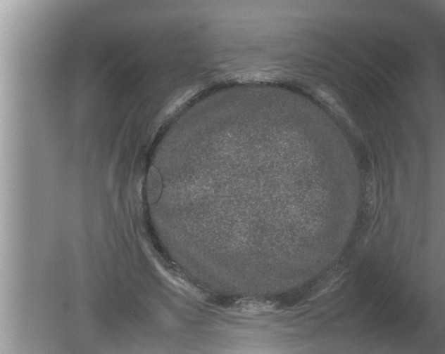 X0000080140491200612221927