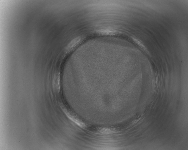 X0000080140494200612221927