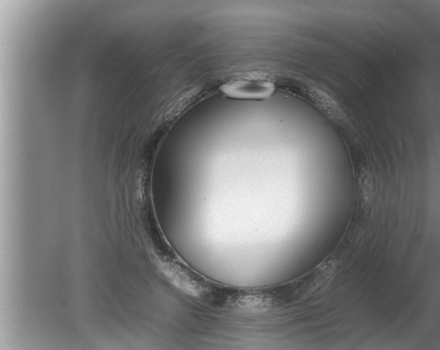 X0000080140546200612221926