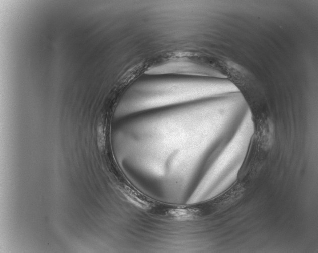 X0000080140558200612221926
