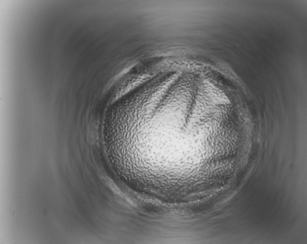 X0000080140585200612221925