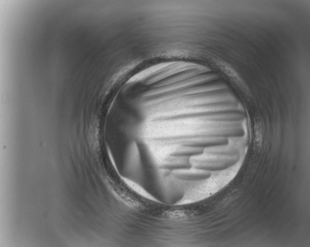 X0000080140588200612221925