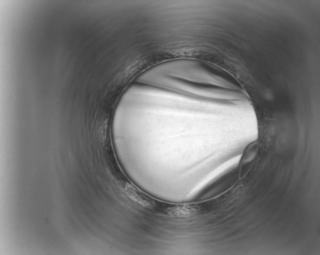 X0000080140652200612221924