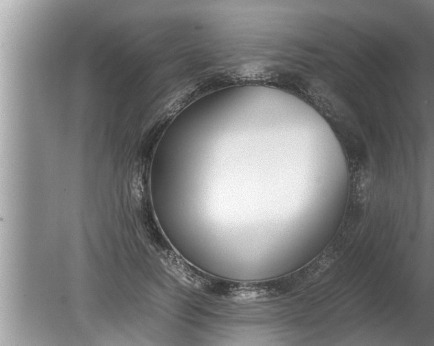 X0000080140746200612221923