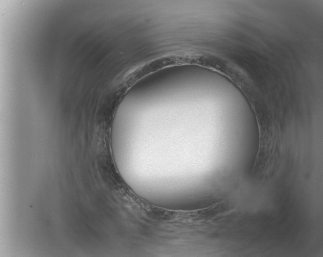 X0000080140773200612221922