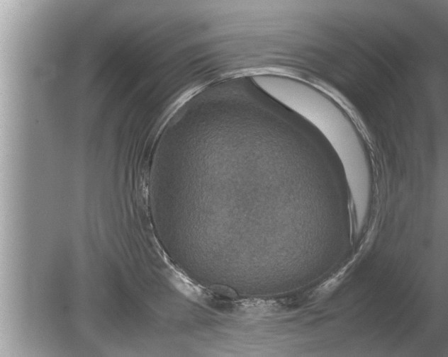 X0000080140809200612221921