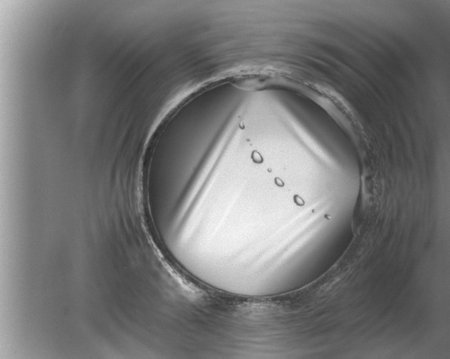 X0000080140894200612221920