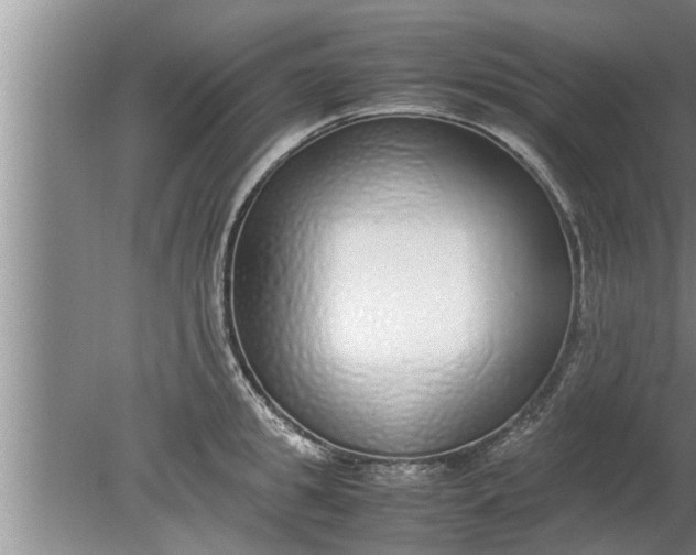 X0000080140949200612221920