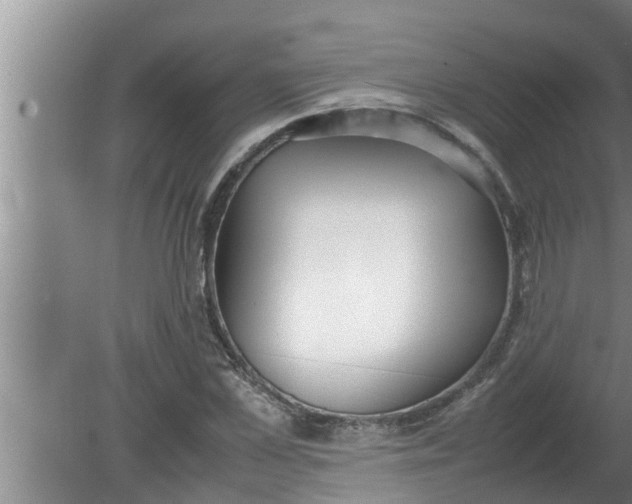 X0000080140973200612221919