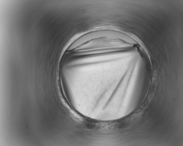 X0000080141005200612221918