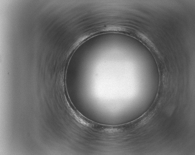 X0000080141033200612221918