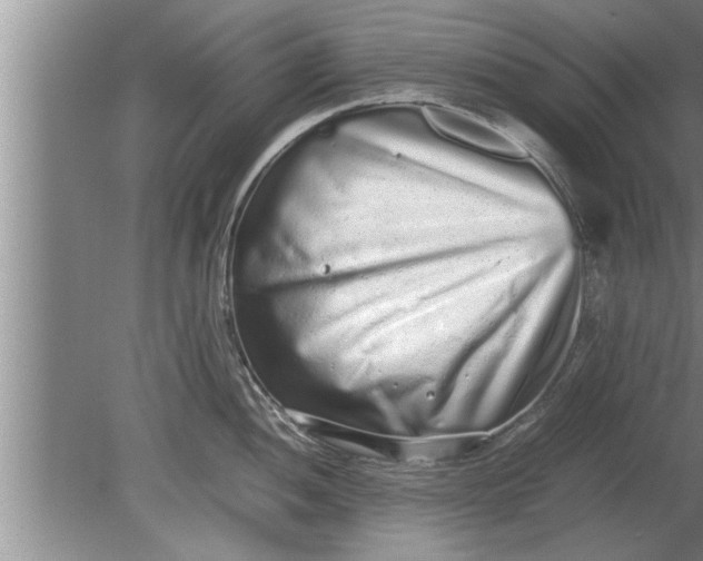 X0000080141052200612221918