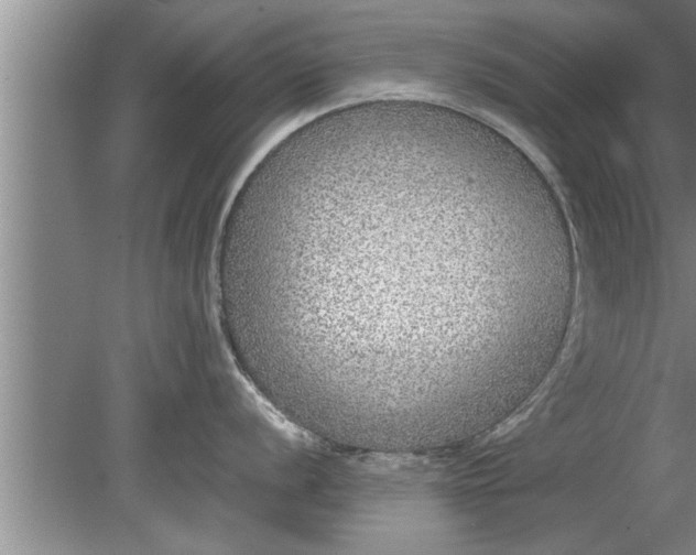 X0000080141056200612221918