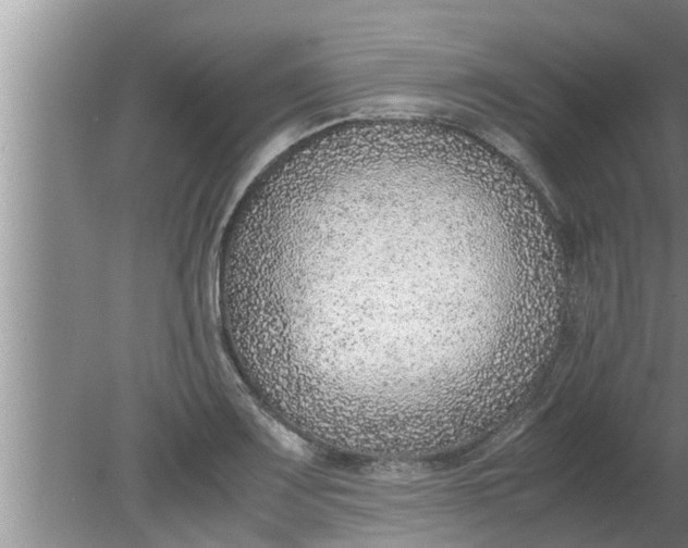X0000080141083200612221917