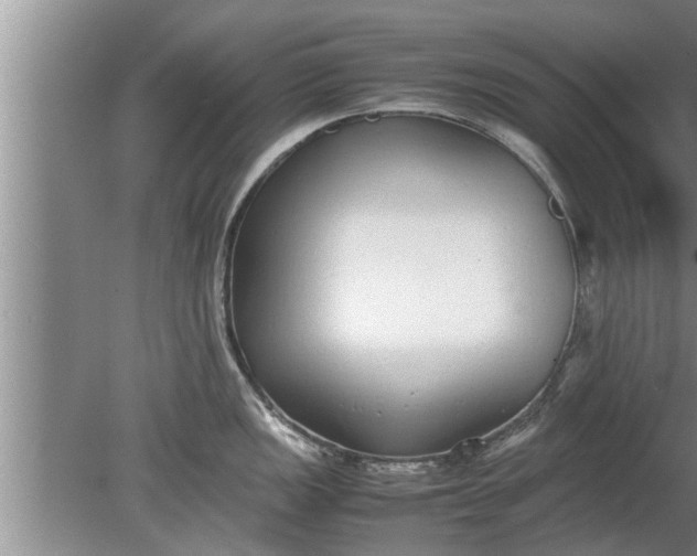 X0000080141149200612221916