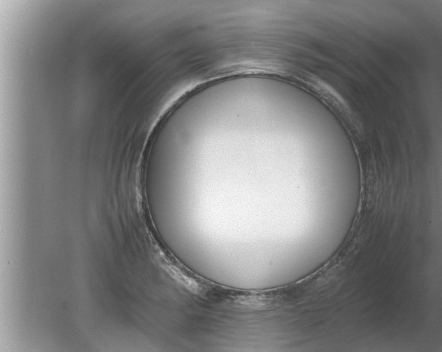 X0000080141182200612221915