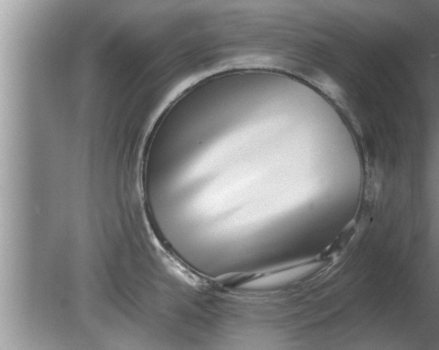 X0000080141342200612221913