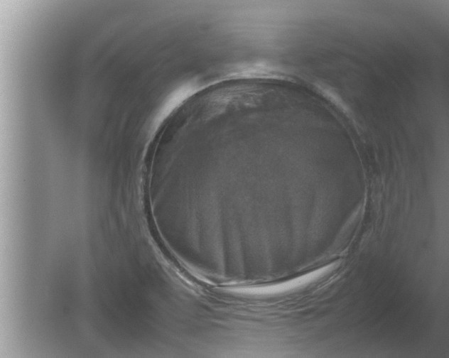 X0000080141463200612221910