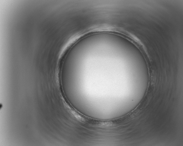 X0000080141464200612221910