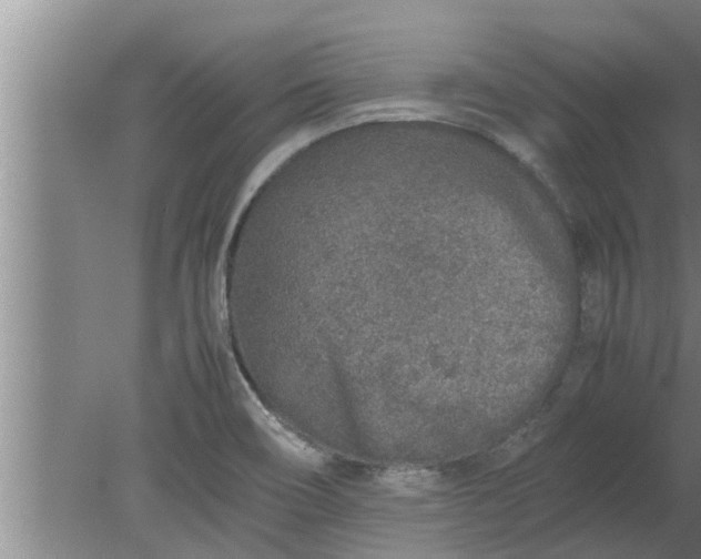 X0000080141466200612221910