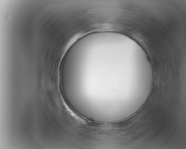 X0000080141479200612221910