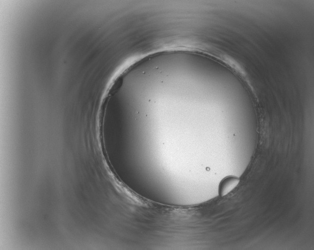 X0000080141480200612221910