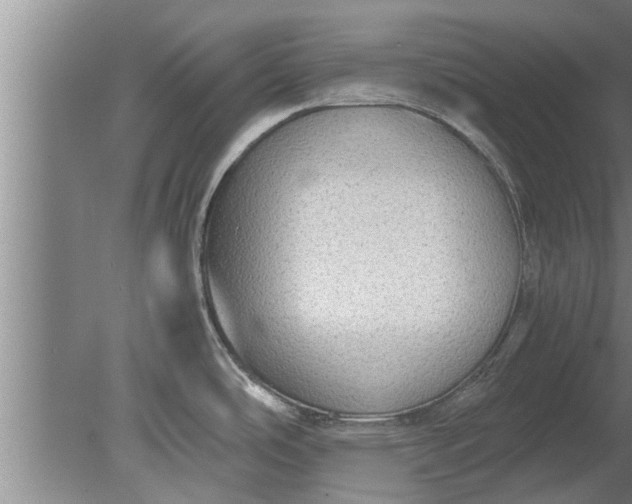 X0000080141486200612221910