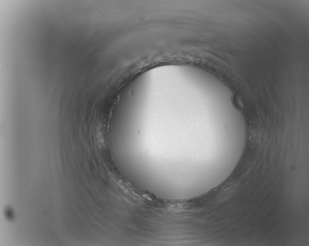 X0000080141490200612221909