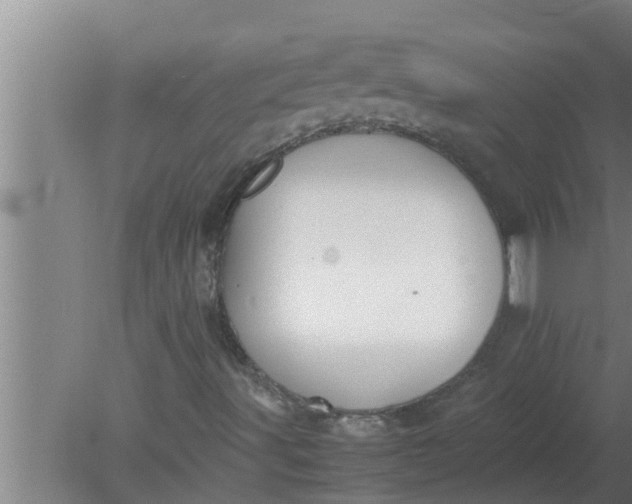 X0000080141491200612221909