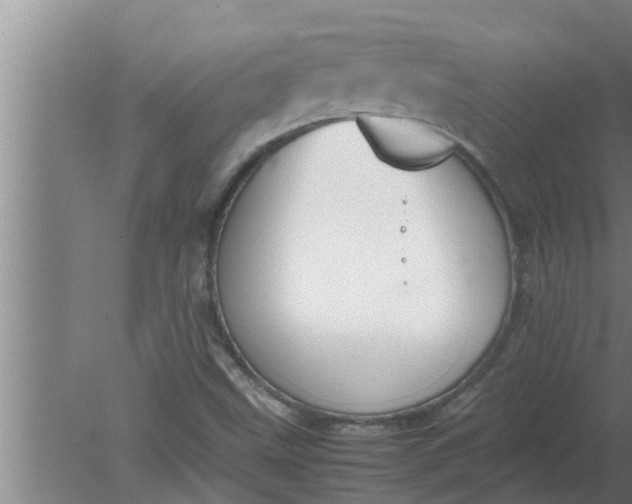 X0000080141499200612221909