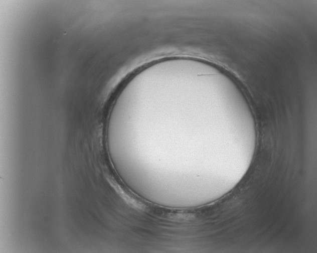 X0000080141503200612221909