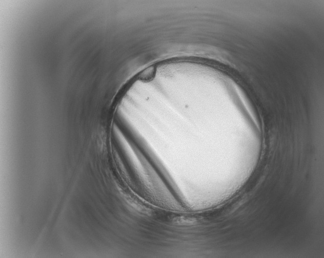 X0000080141505200612221909