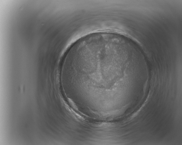 X0000080141506200612221909