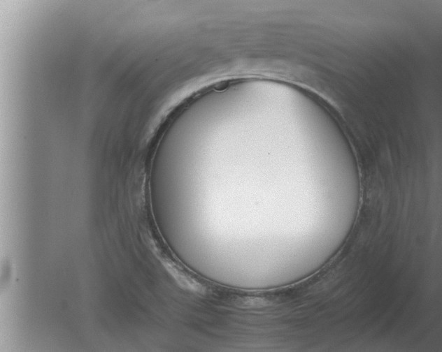 X0000080141507200612221909