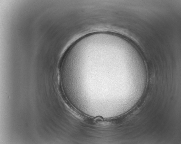 X0000080141509200612221909