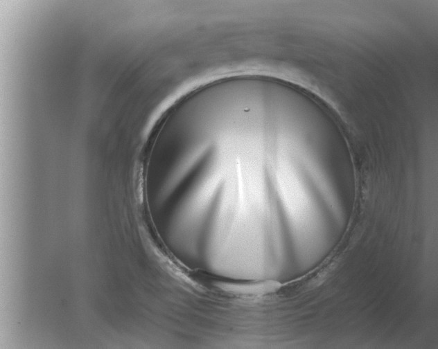 X0000080141510200612221910