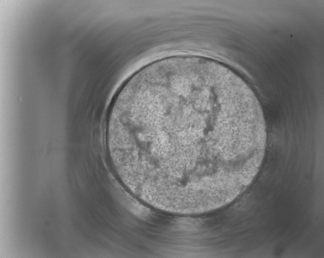 X0000080141514200612221910