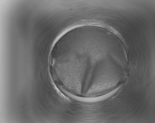 X0000080141520200612221910